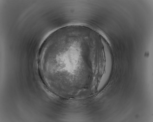 X0000091891124200710031756