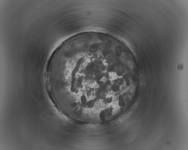 X0000091891125200710031756