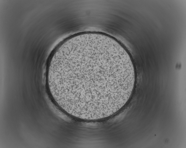 X0000091891126200710031757