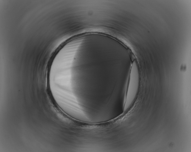 X0000091891127200710031757