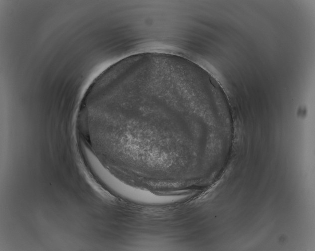X0000091891128200710031757