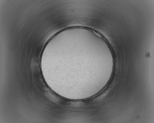 X0000091891129200710031757