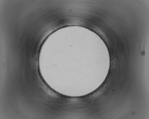 X0000091891130200710031757