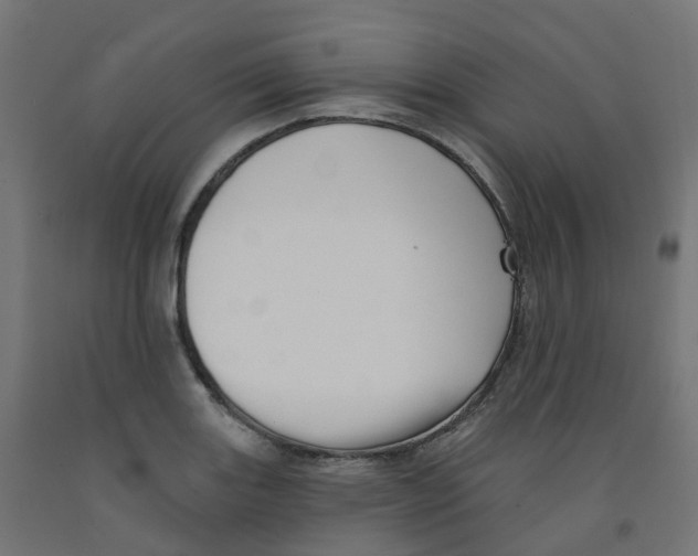 X0000091891131200710031757