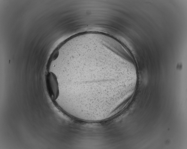 X0000091891133200710031757