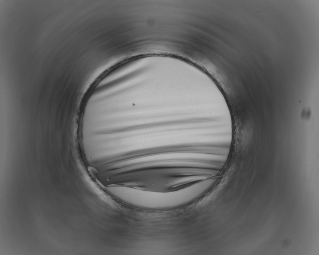 X0000091891134200710031757