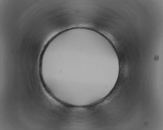 X0000091891135200710031757