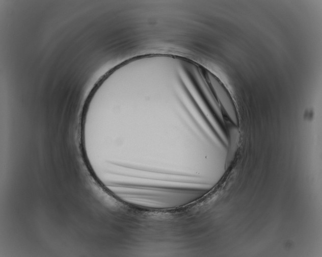 X0000091891136200710031757