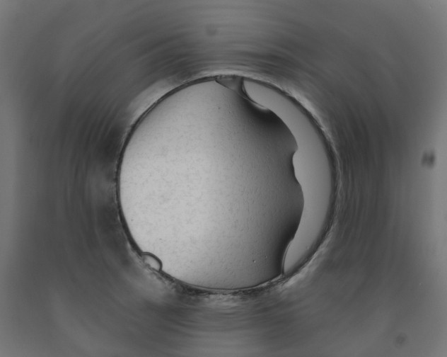 X0000091891137200710031757