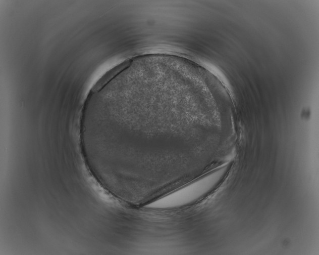 X0000091891138200710031757