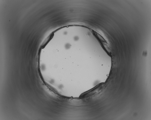 X0000091891140200710031757
