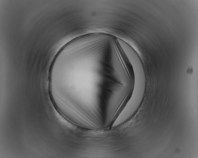 X0000091891143200710031757