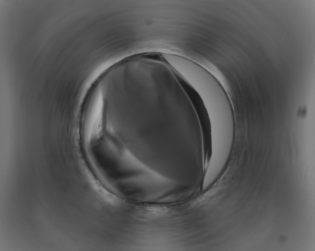X0000091891144200710031757