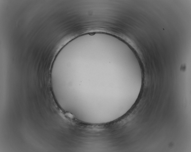 X0000091891145200710031757
