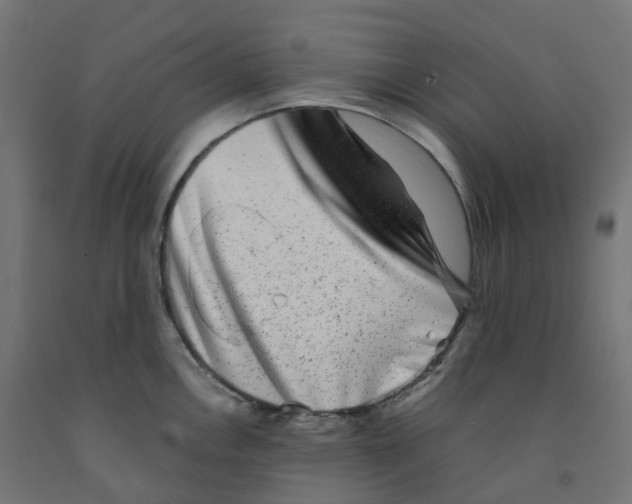 X0000091891146200710031757