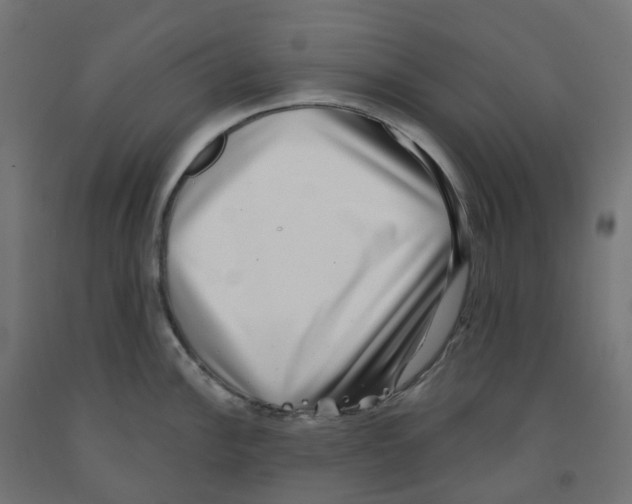 X0000091891148200710031757