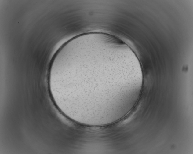 X0000091891149200710031757