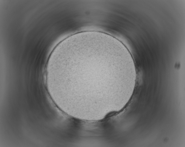 X0000091891150200710031757