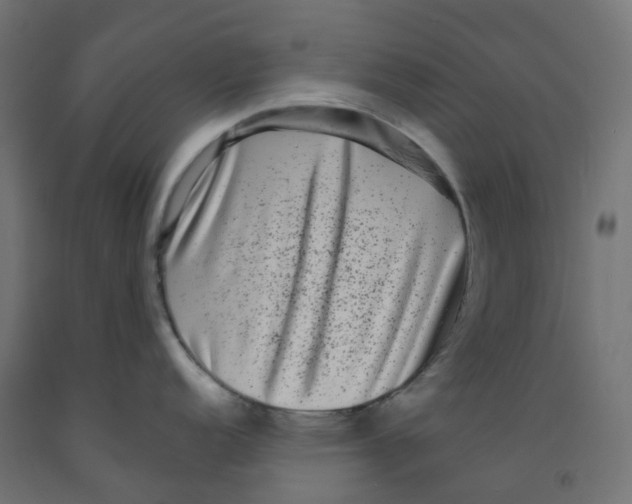 X0000091891152200710031757
