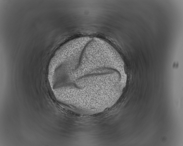 X0000091891153200710031756