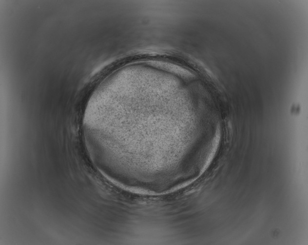 X0000091891158200710031756