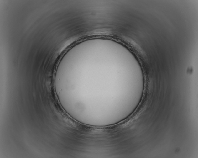 X0000091891162200710031756