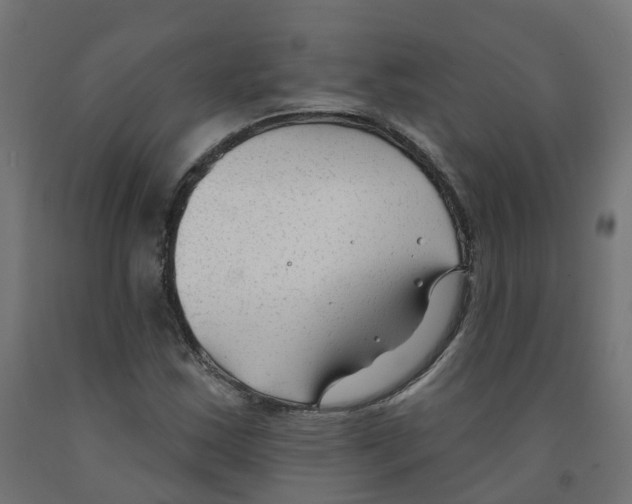 X0000091891163200710031756
