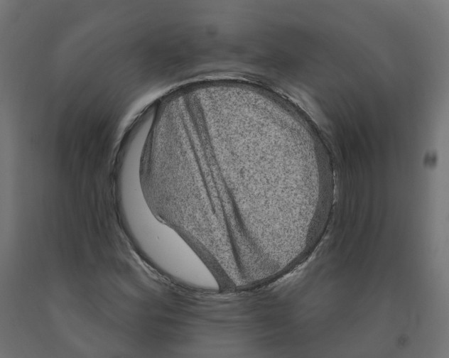 X0000091891164200710031756