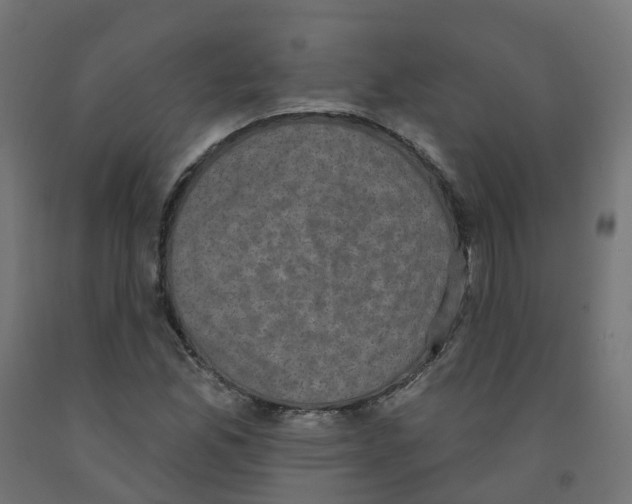 X0000091891165200710031756