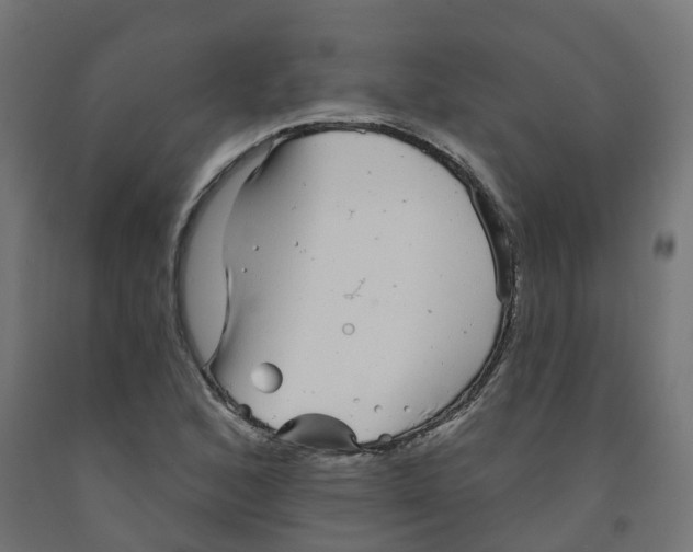 X0000091891168200710031756