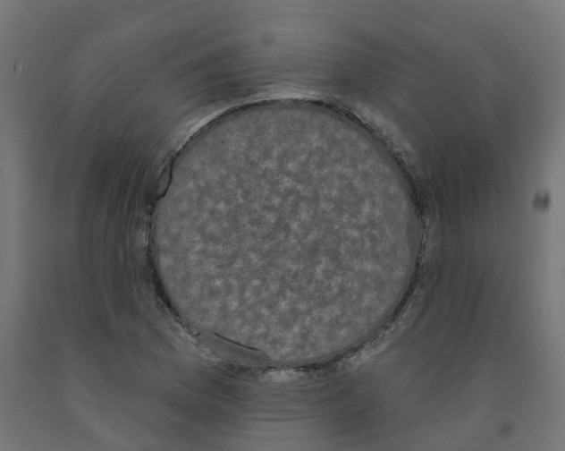 X0000091891169200710031756