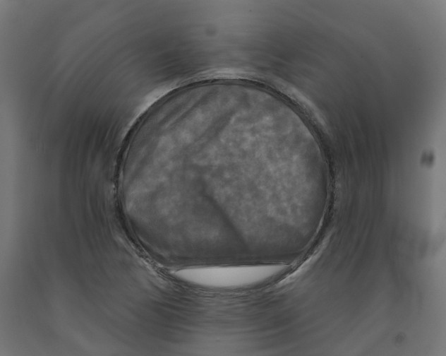 X0000091891170200710031756
