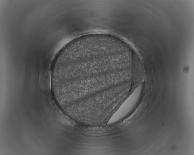X0000091891171200710031756