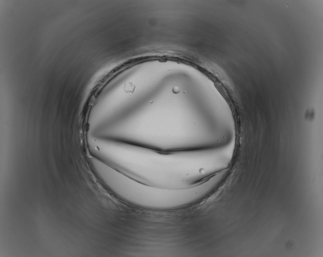 X0000091891172200710031756