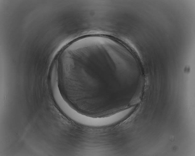 X0000091891173200710031756