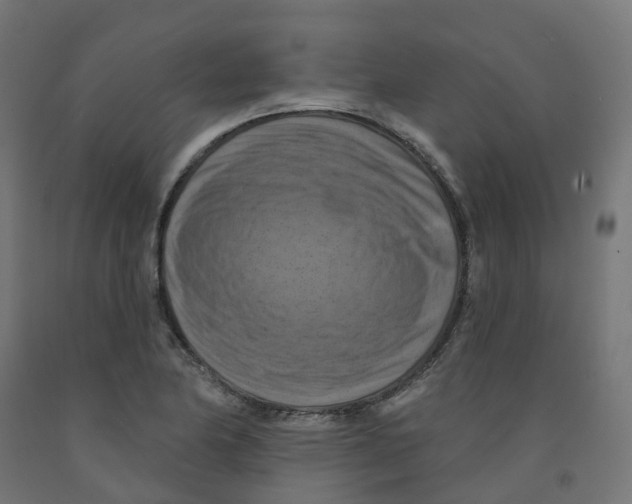 X0000091891174200710031756