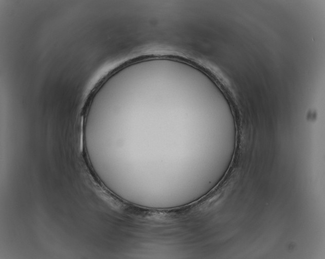 X0000091891175200710031756