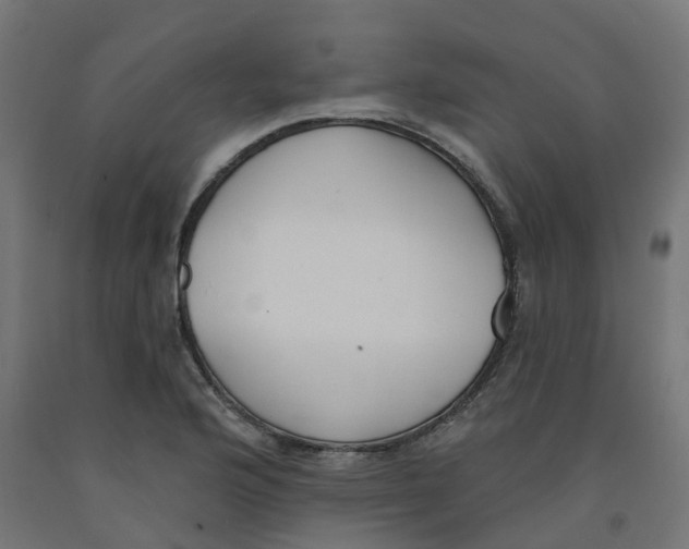 X0000091891176200710031756