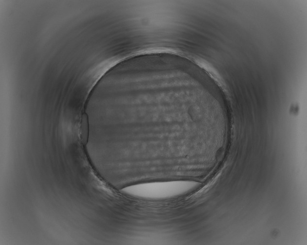 X0000091891177200710031756