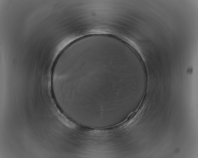 X0000091891179200710031756