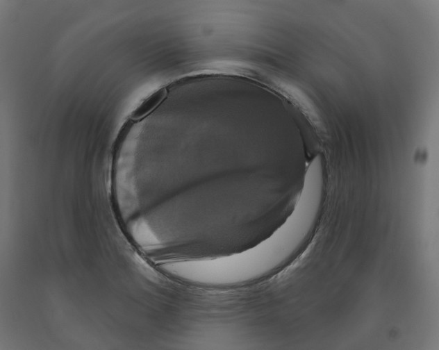 X0000091891180200710031756