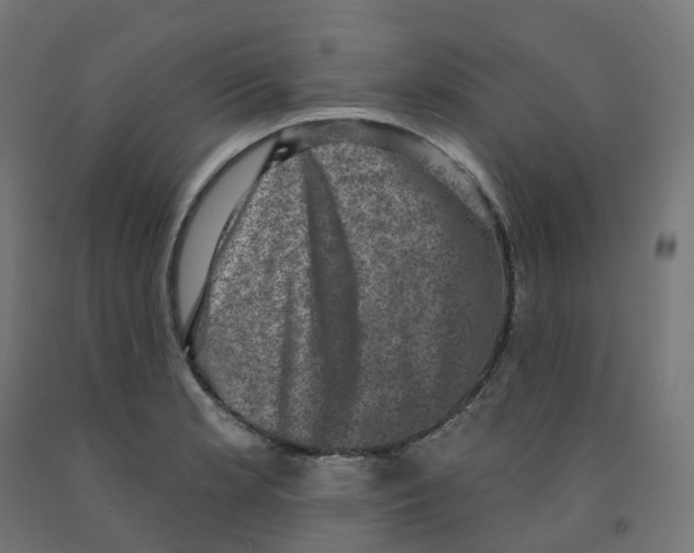 X0000091891181200710031756