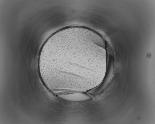 X0000091891183200710031756