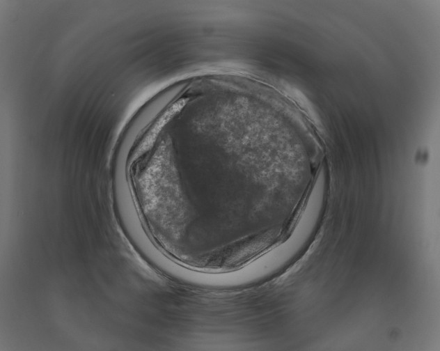 X0000091891184200710031756