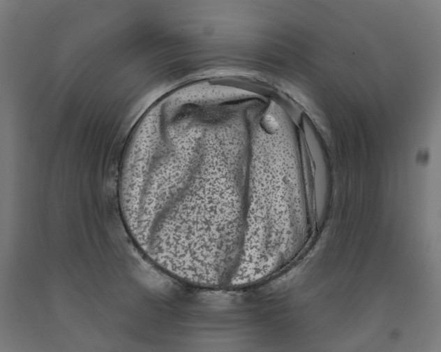 X0000091891185200710031756