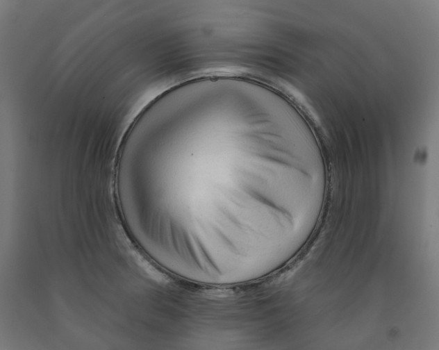 X0000091891186200710031756