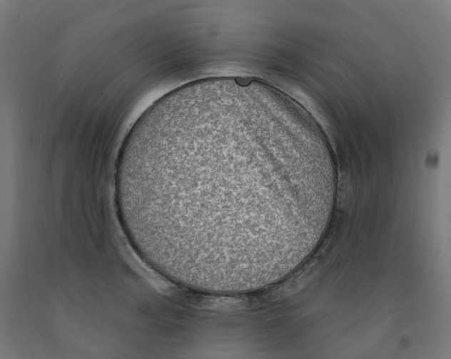 X0000091891187200710031756