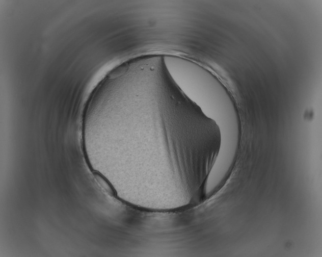 X0000091891188200710031756