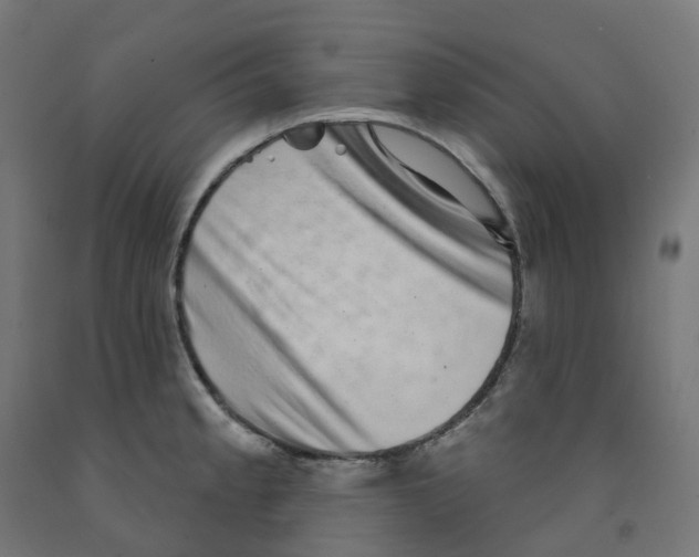 X0000091891189200710031756