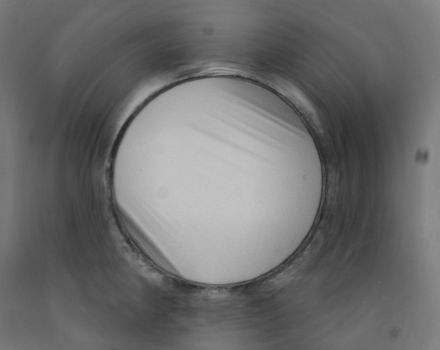 X0000091891190200710031756